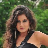 Archana Gupta Hot Photo Shoot Pictures | Picture 90140
